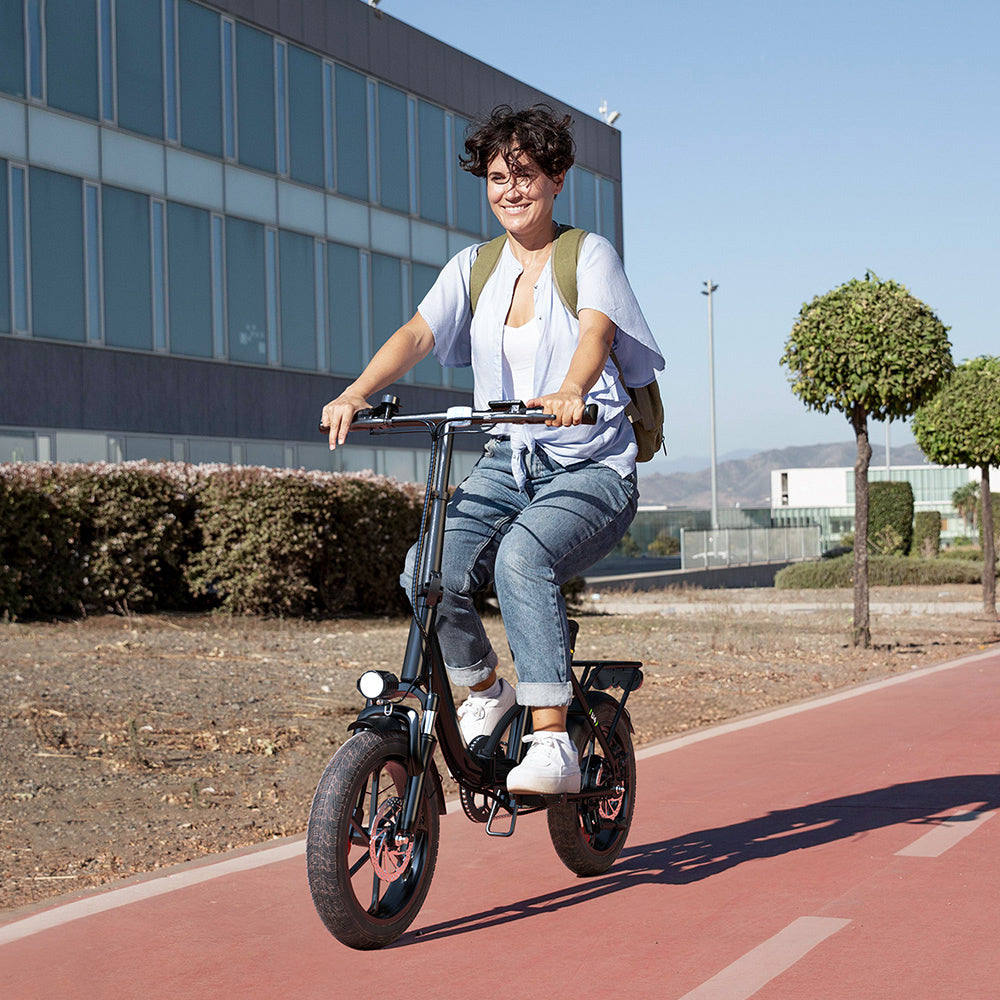 Portable Folding Electric Bike with Removable Battery, Low Step Frame