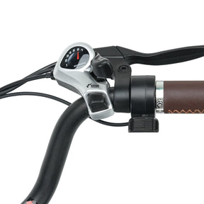 U2 Commuter Step-Thru E-Bike: Removable Battery, Front Suspension, Effortless Urban Ride