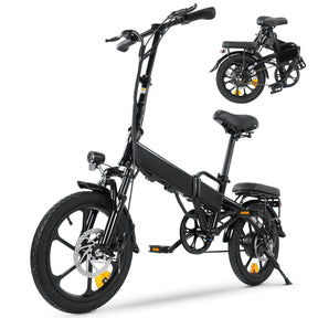 Portable Folding Electric Bike with Removable Battery, Low Step Frame