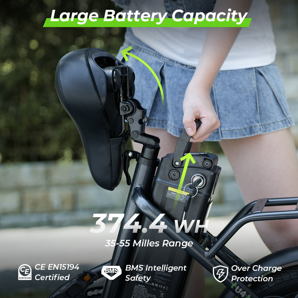 Portable Folding Electric Bike with Removable Battery, Low Step Frame