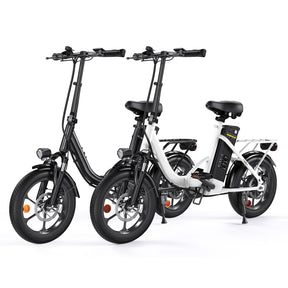 Portable Folding Electric Bike with Removable Battery, Low Step Frame